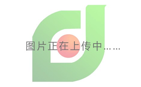 冰城哈尔滨、漠河北极村、龙江第一湾、圣诞村、经典单高铁单卧 5 曰