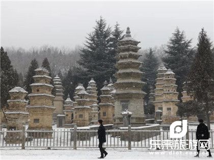 豫见河南大全景双飞纯玩8日 