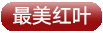 丹东中朝边境/青山沟/飞瀑涧/虎塘沟/蒲石河森林公园/凤凰山3日游